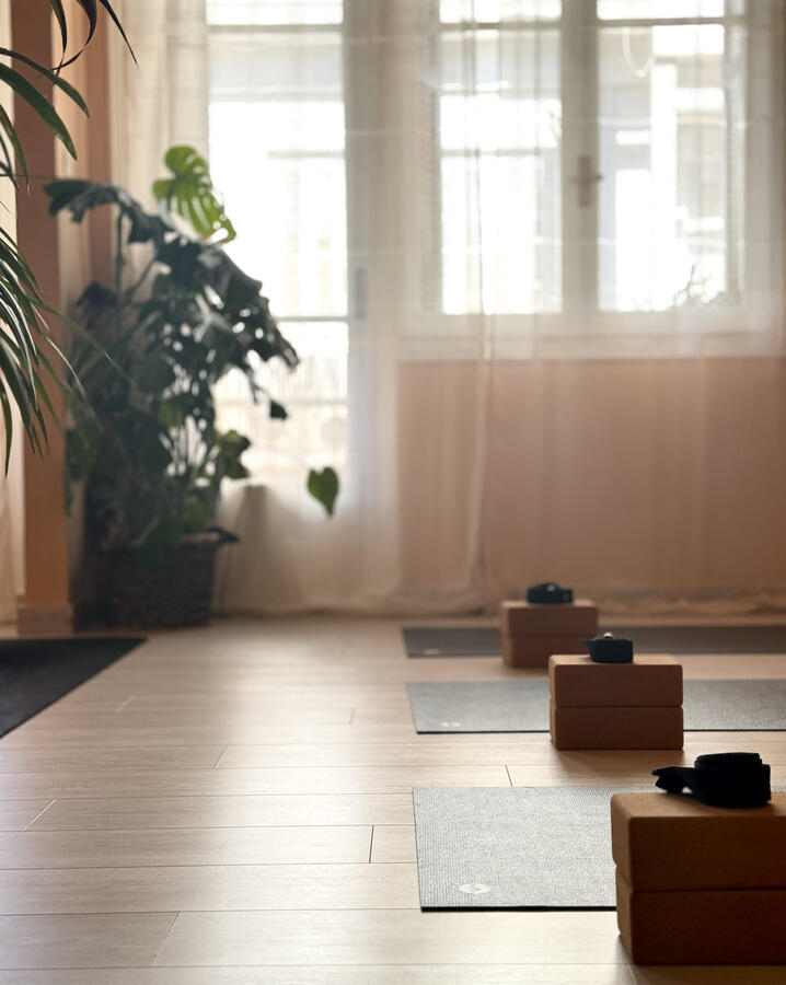 Full of natural light and healthy plants the shala is as relaxing as it gets Full of natural light and healthy plants the yoga shala of Hermans Yoga studio in Sparta, Greece is a relaxing space.